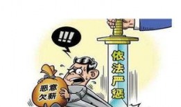 农民王先生最新爆料,揭秘农村新动向背后的真实故事